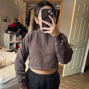Aritzia/TNA Cropped Brown Crewneck Sweatshirt